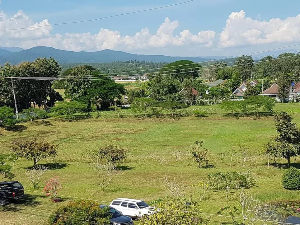 ขาย บ้านที่แม่ริม มีบ้านหลังใหญ่ 2 หลัง จังหวัดเชียงใหม่