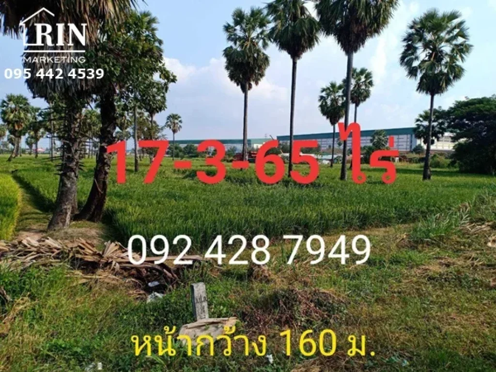 R054-051 ขายที่ดิน 17-3-65 ไร่ ติดถนนเพชรเกษม อเขาย้อย จเพชรบุรี