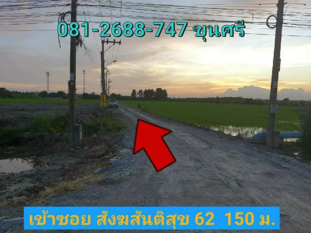 ขายที่ดินราคาถูก 2-2-16 ไร่ ติดถนนสาธารณะ ซอย สังฆสันติสุข 62 เขต หนองจอก กรุงเทพมหานคร