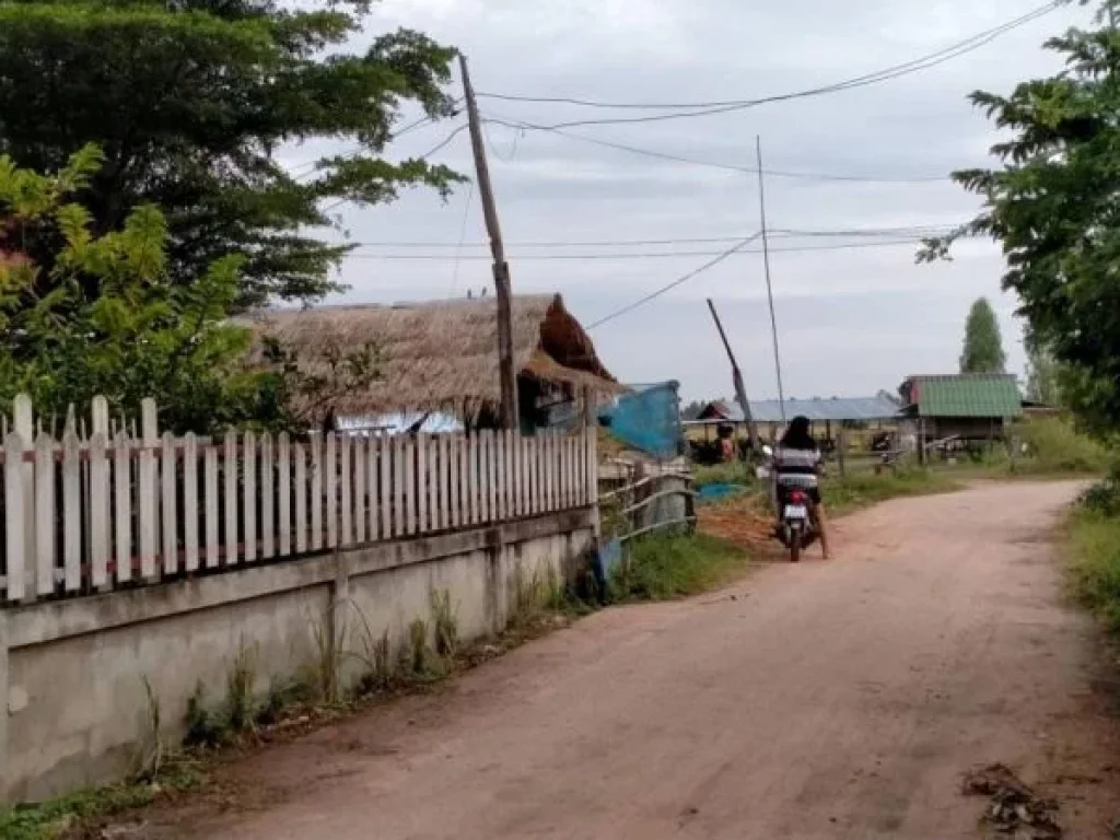 ขายบ้านพร้อมที่ดิน บ้านหนองบ่อ ตำบลเปือยใหญ่ อำเภอโนนศิลา จังหวัดขอนแก่น