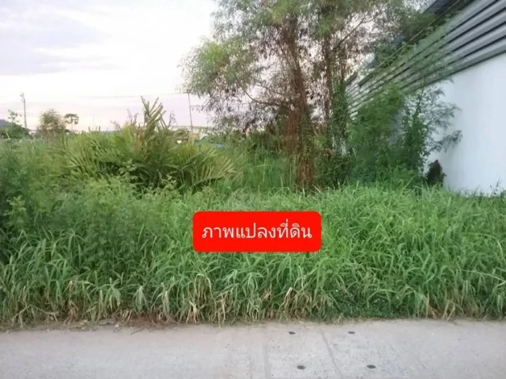 PP741ที่ดิน971 ตารางวา ถนนศรีนครินทร์ ซศรีด่าน 35 ถนนสุขุมวิท ซสุขุมวิท 113