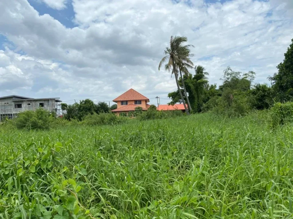 ขายด่วน ที่ดินติดริมแม่น้ำเจ้าพระยา ซอยวัดโบสถ์ ตสามโคก อบางกระบือ จปทุมธานี