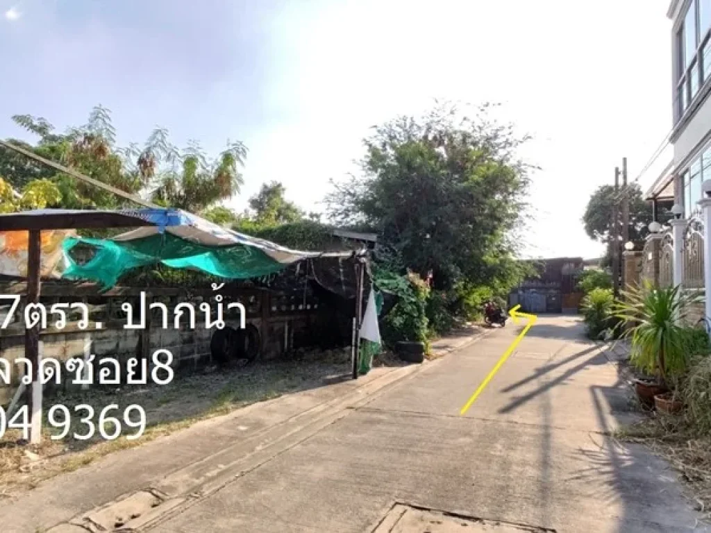 ขายที่ดินราคาถูก ถนนสายลวดซอย8 ใกล้BTSสายลวด ปากน้ำ สมุทรปราการ ขนาด 97 ตรว นก 089 204 9369