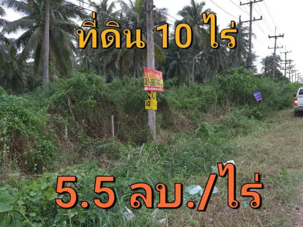 ขายต่ำกว่าราคาตลาดที่ดิน 10 ไร่ ใกล้ตลาดน้ำดำเนินสะดวก ติดถนน สมุทรสงคราม-บางแพ กม27 อำเภอ ดำเนินสะดวก ราชบุรี