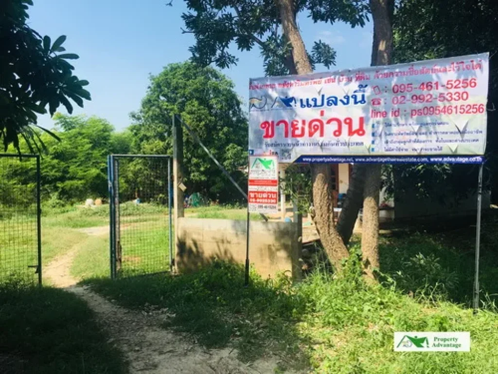 ขายที่ดินบ้าน เนื้อที่ 2 ไร่ ทำเลดี ตบางระกำ อโพธิ์ทอง จอ่างทอง