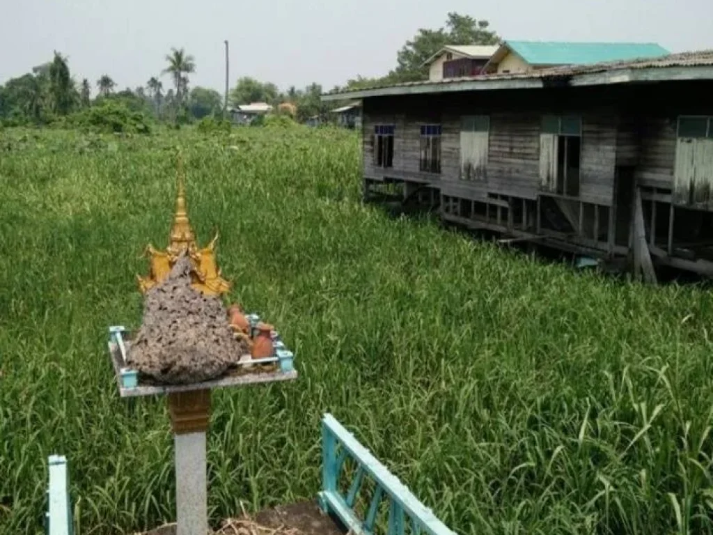 ที่ดินริมแม่น้ำเจ้าพระยาเนื้อที่ 3 ไร่ อปากเกร็ด จนนทบุรี