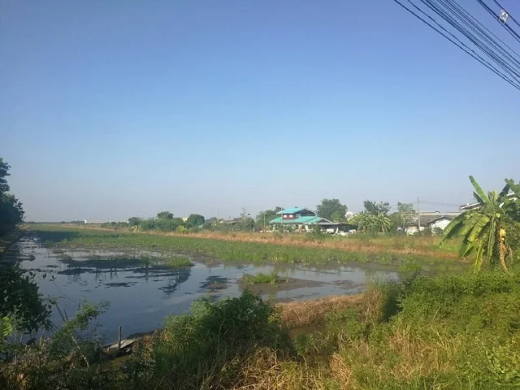 ขายที่ดินติดถนนลำลูกกา เนื้อที่ 50 ไร่ ใกล้วัดทำเลทอง ติดถนนลำลูกกา-นครนายก