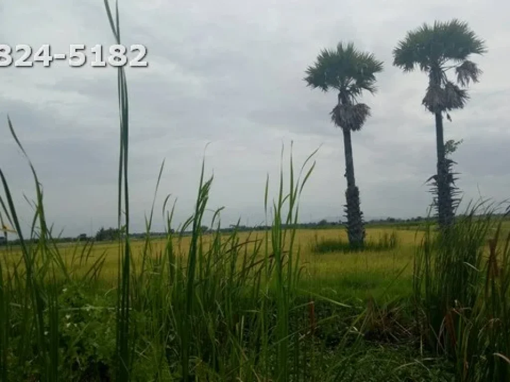 ขายที่ดินบริเวณ ตหาดเจ้าสำราญ บางทะเล อเมือง จเพชรบุรี เนื้อที่ 30 ไร่ 2 งาน 83 ตารางวา