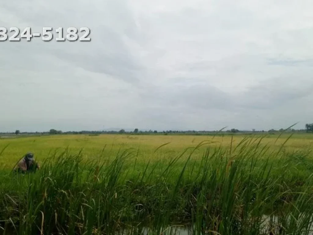 ขายที่ดินบริเวณ ตหาดเจ้าสำราญ บางทะเล อเมือง จเพชรบุรี เนื้อที่ 30 ไร่ 2 งาน 83 ตารางวา