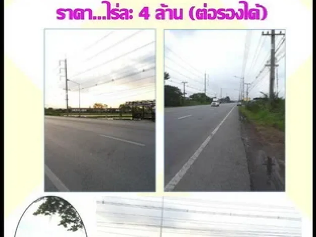 ขายที่ดิน40ไร่กว่า ติดถนนลำลูกกาคลอง10 จังหวัดปทุมธานี