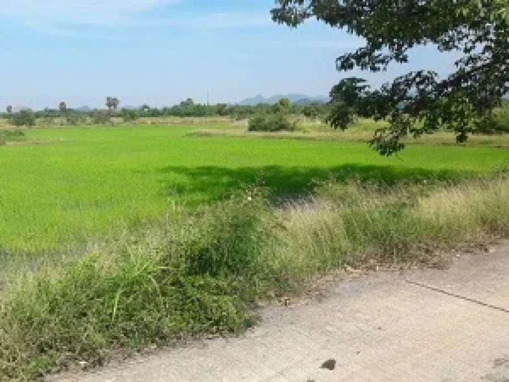 ที่ดิน 10 ไร่ อพระพุทธบาท จังหวัดสระบุรี ที่สวย มีถนนทางเข้าออก แปลงยาว สนใจติดต่อได้นะคะ ขาย 6 ล้าน ยกแปลง