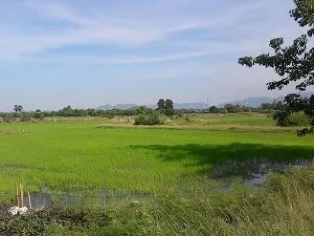 ที่ดิน 10 ไร่ อพระพุทธบาท จังหวัดสระบุรี ที่สวย มีถนนทางเข้าออก แปลงยาว สนใจติดต่อได้นะคะ ขาย 6 ล้าน ยกแปลง