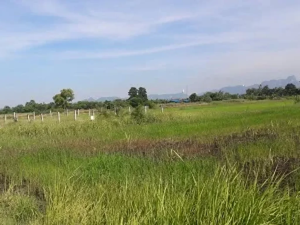 ที่ดิน 10 ไร่ อพระพุทธบาท จังหวัดสระบุรี ที่สวย มีถนนทางเข้าออก แปลงยาว สนใจติดต่อได้นะคะ ขาย 6 ล้าน ยกแปลง