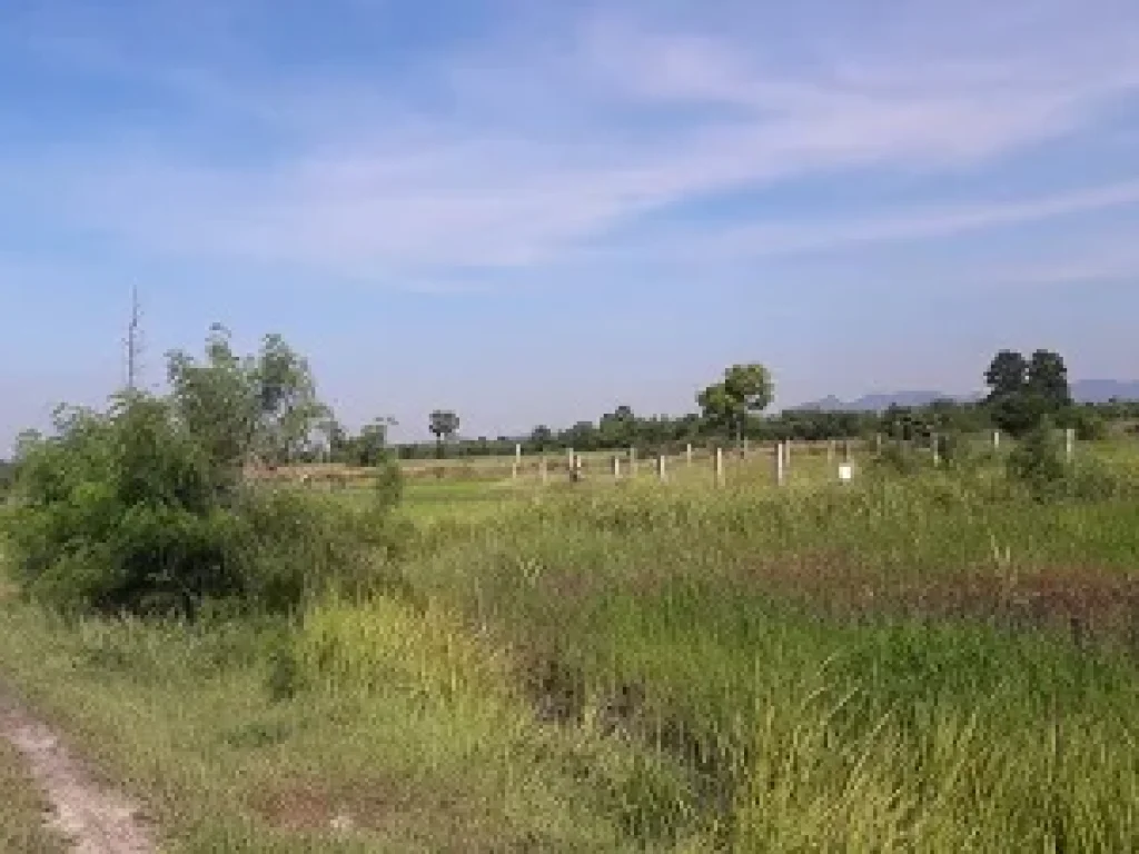 ที่ดิน 10 ไร่ อพระพุทธบาท จังหวัดสระบุรี ที่สวย มีถนนทางเข้าออก แปลงยาว สนใจติดต่อได้นะคะ ขาย 6 ล้าน ยกแปลง