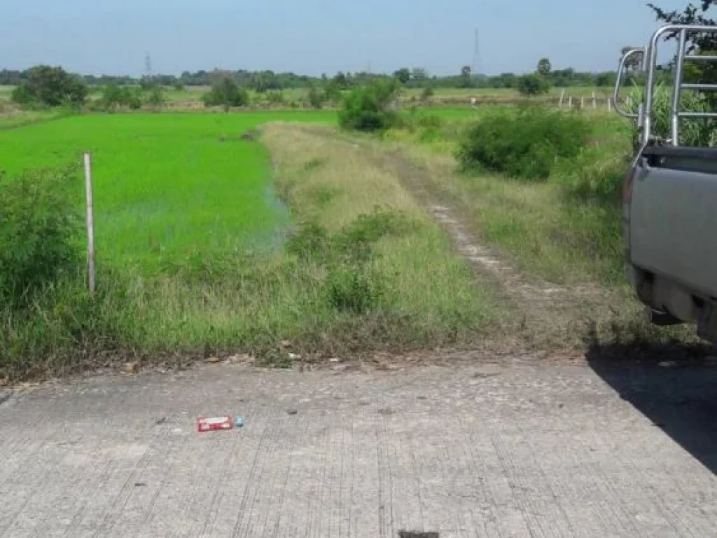 ที่ดิน 10 ไร่ อพระพุทธบาท จังหวัดสระบุรี ที่สวย มีถนนทางเข้าออก แปลงยาว สนใจติดต่อได้นะคะ ขาย 6 ล้าน ยกแปลง