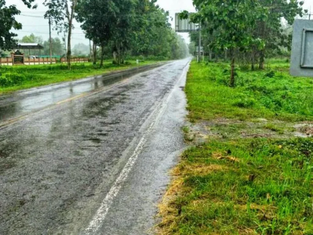 เป็นอีกหนึ่งแปลงที่คุณไม่ควรพลาด ขายที่ดินทำเลดี ติดถนนหลวงสาย 101 น่าน - ทุ่งช้าง ใกล้อบตพญาแก้ว อเชียงกลาง จน่าน