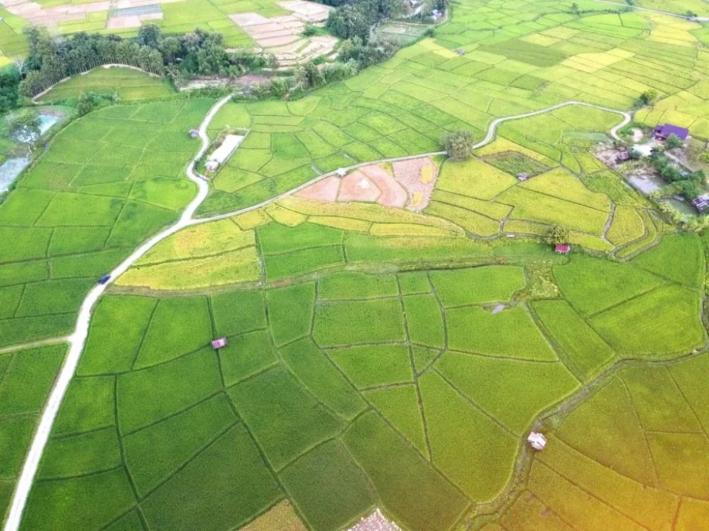 ขายที่ดินทำเลดีแบบทุ่งนา บรรยากาศเยี่ยม เห็นวิวภูเขาสวย เหมาะสำหรับสร้างที่อยู่อาศัย หรือโฮมสเตย์ ไม่ไกลจากตัวอำเภอ