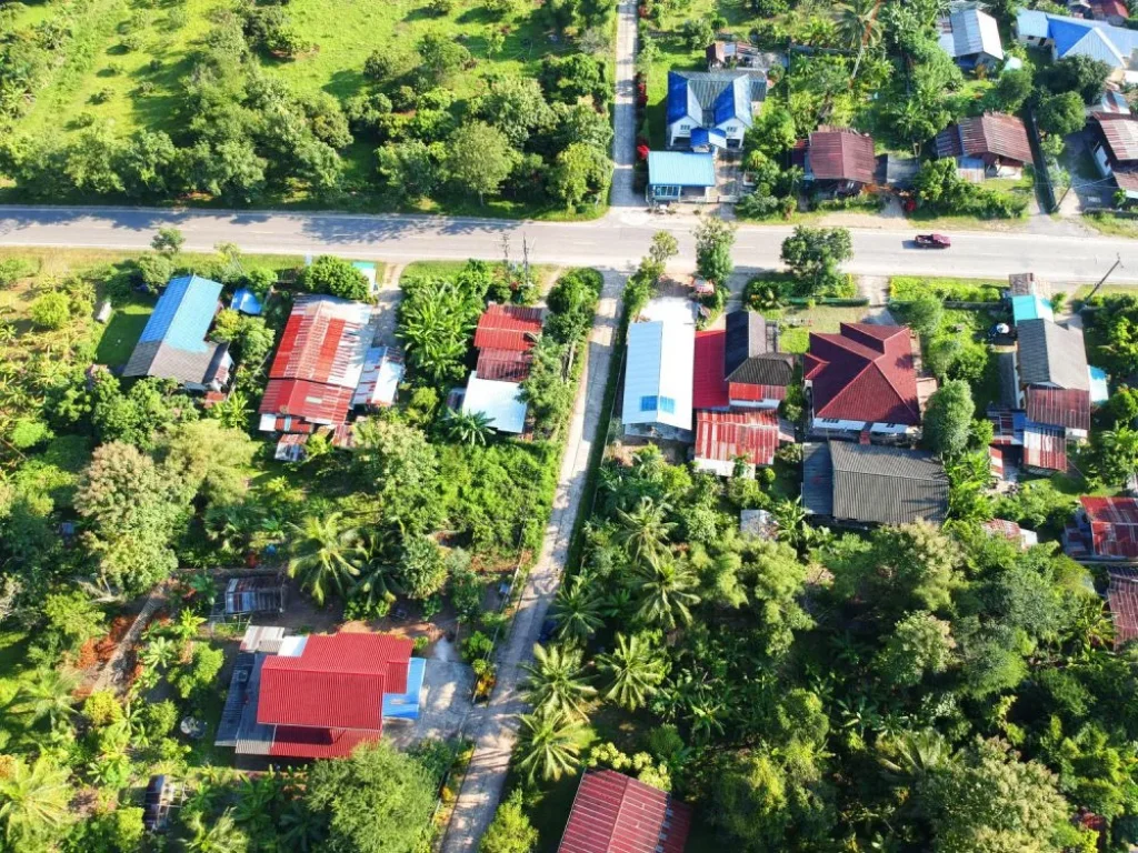 ต้องการขายด่วนขายบ้านพร้อมที่ดินแปลงสวย อยู่ติดถนนหลวงชนบท และใกล้ทางหลวงสายน่าน - ทุ่งช้าง หมายเลข 101 สายเศรษฐกิจเชื่อมสู่ประเทศลาว เหมาะสำหรับปล