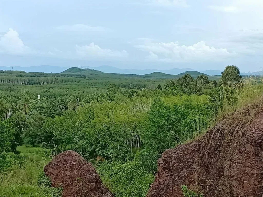 ขายที่ดิน 3ไร่ เห็นวิวเมืองตรัง จังหวัดตรัง