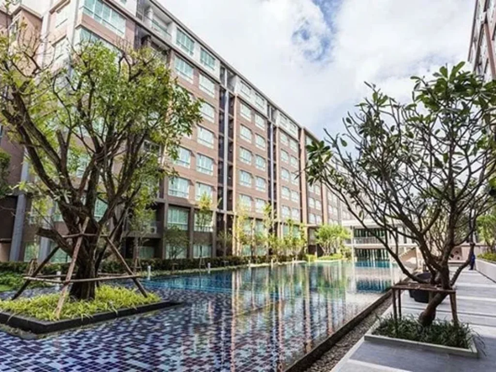 MT-0082 -คอนโดเช่า Dcondo Campus วิวสวยมากๆมี 1 ห้องนอน 1 ห้องน้ำ 1 ห้องครัว 1 ที่จอดรถ ตรัษฎา อเมือง