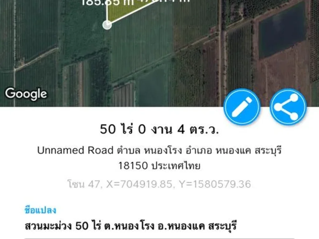 ขายถูกสวนมะม่วง 50ไร่ พร้อมบ้าน เก็บเกี่ยวผลผลิตได้แล้ว หนองแค สระบุรี