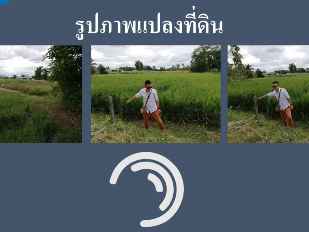 ขายที่ดิน 4ไร่ ตมาบไผ่ อเมือง ชลบุรี