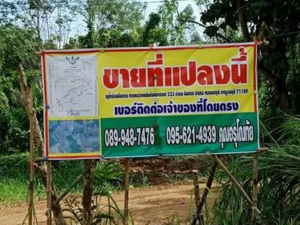 ขายที่ดิน บ้านหินดาด ติดถนนดำสายหลักเส้น323 ทองผาภูมิ กาญจนบุรี