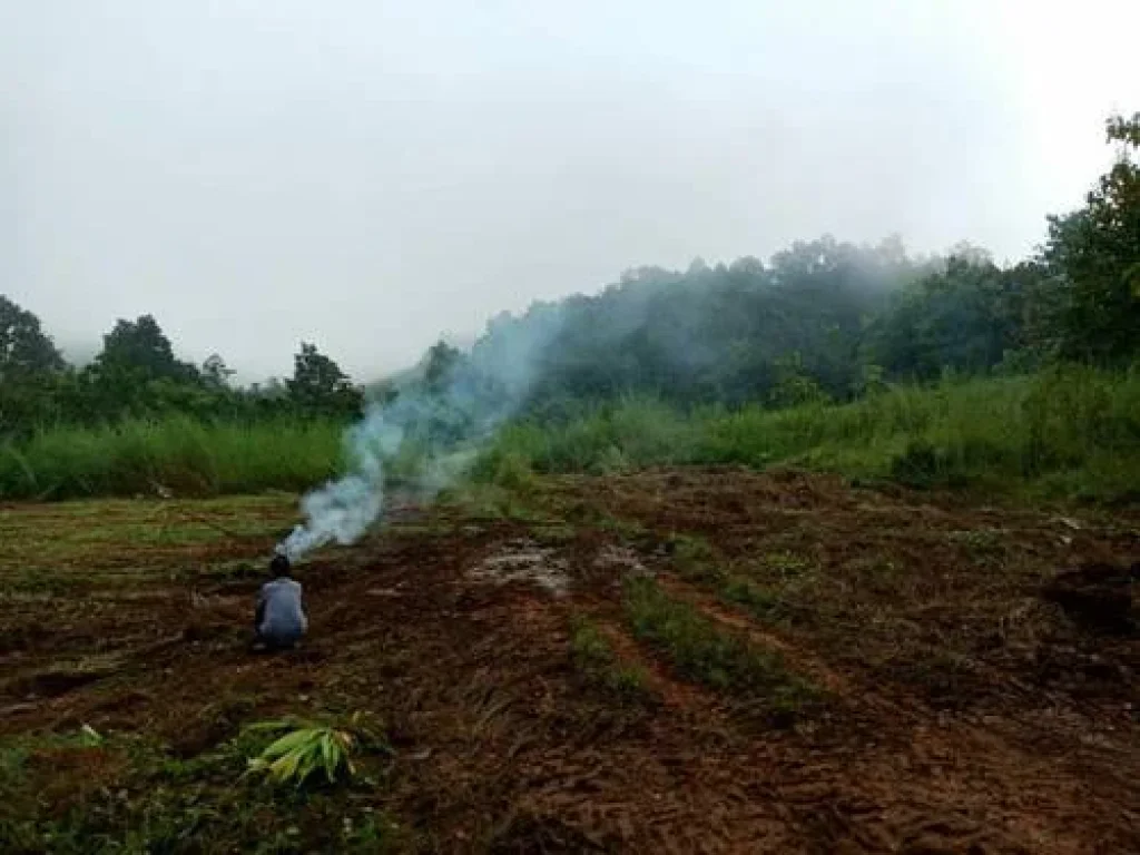 ขายที่ดิน บ้านหินดาด ติดถนนดำสายหลักเส้น323 ทองผาภูมิ กาญจนบุรี