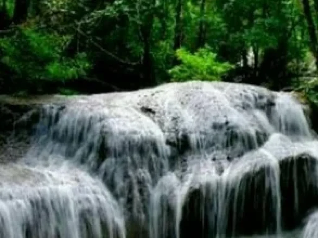 ขายที่ดิน บ้านหินดาด ติดถนนดำสายหลักเส้น323 ทองผาภูมิ กาญจนบุรี