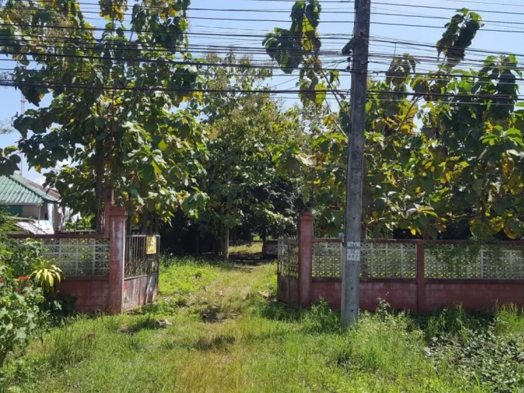 ขายบ้านและที่ดิน ติดริมถนน ฝาง