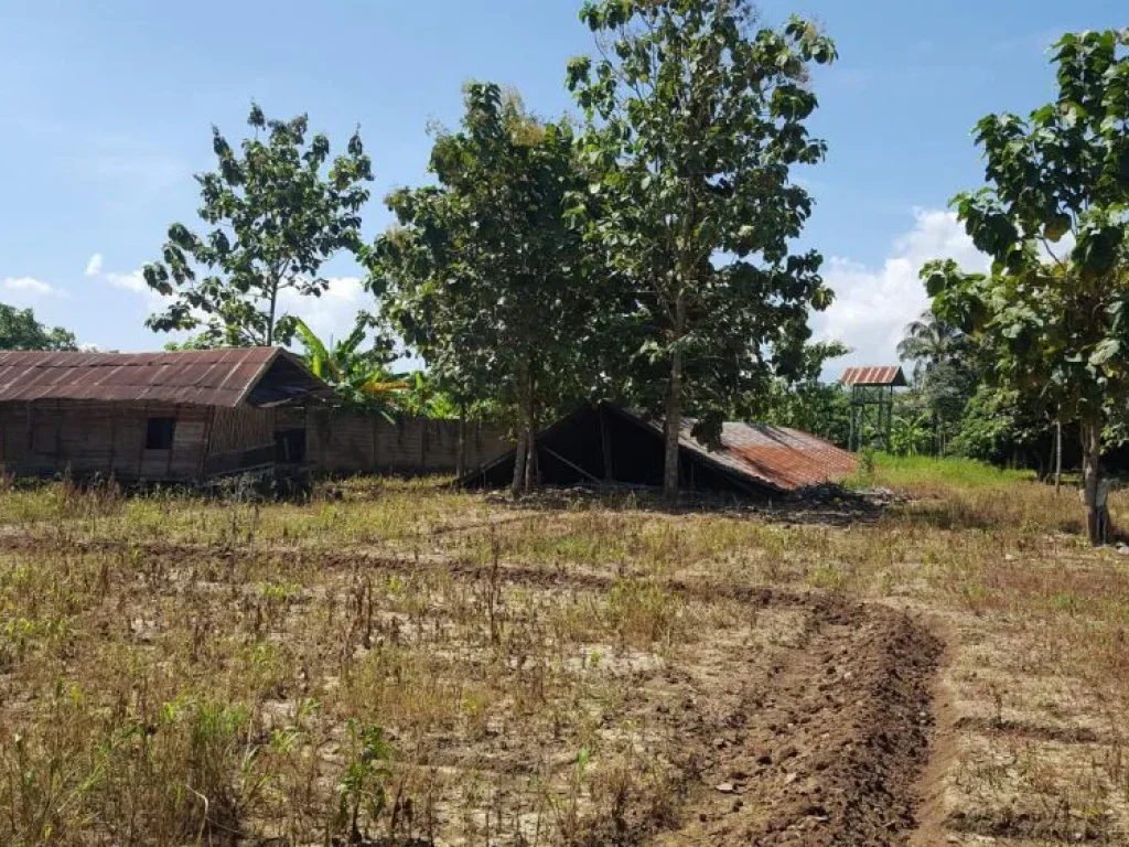 ขายบ้านและที่ดิน ติดริมถนน ฝาง