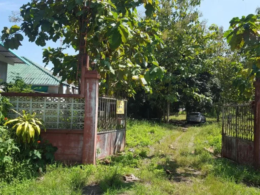 ขายบ้านและที่ดิน ติดริมถนน ฝาง