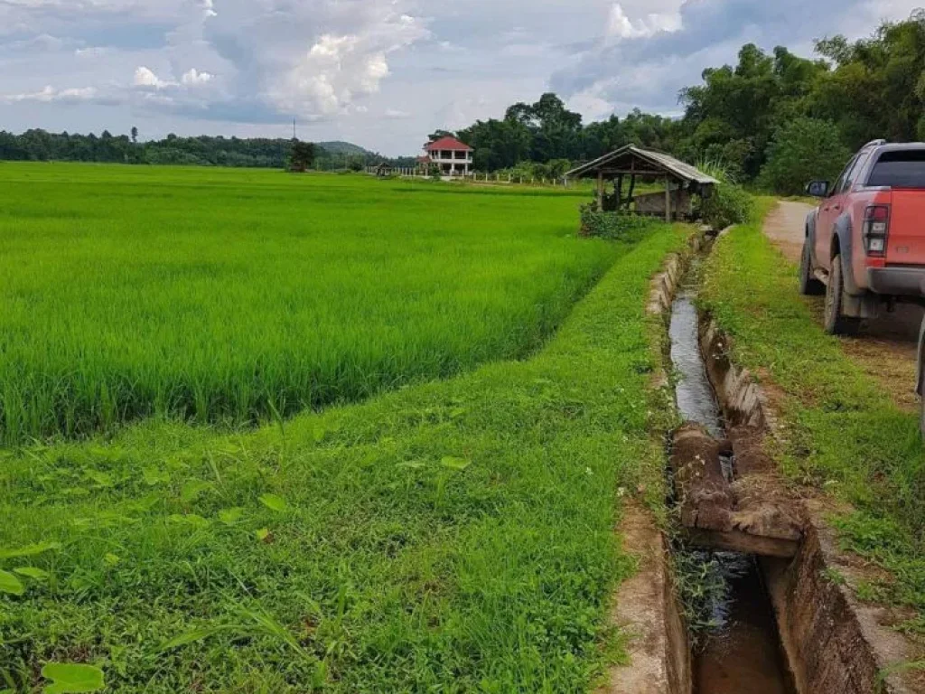 ด่วนๆ สดผ่อนได้