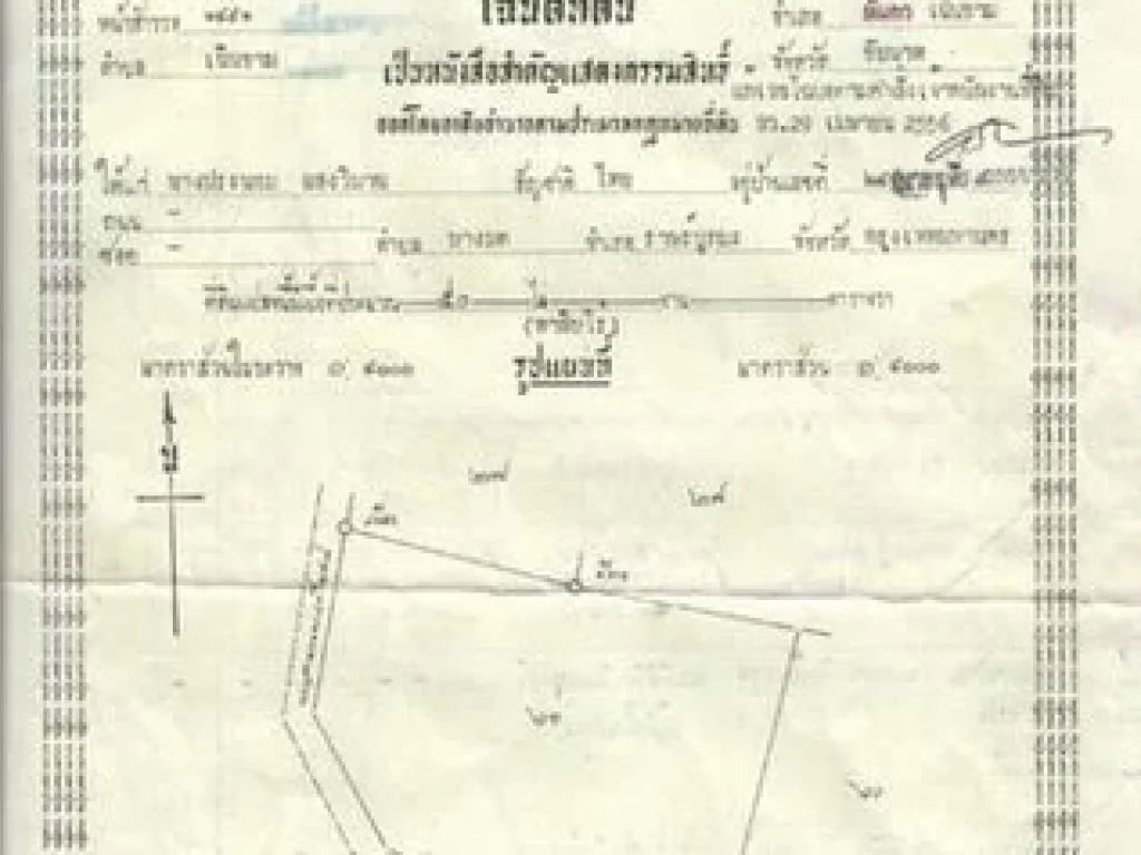 ขายที่ดินเปล่าทำเลดี พร้อมบ้าน เนื้อที่ 50 ไร่ เนินขาม จังหวัดชัยนาท