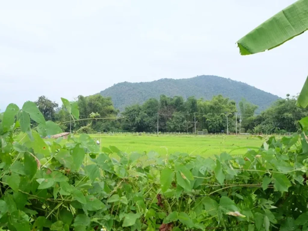 ที่ถมแล้ววิวภูเขา ลวงเหนือ ดอยสะเก็ด 2