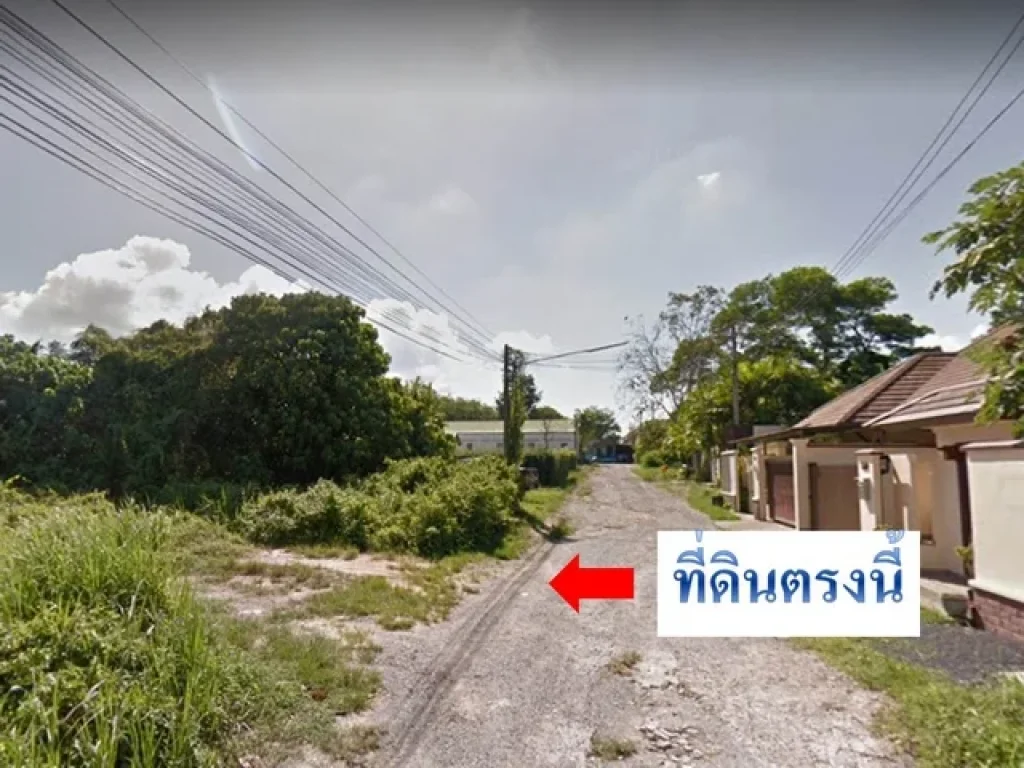 ขายที่ดินภูเก็ต ซอยนพตาแก้ว บางโจม่าหนิก 135 ตรว ตศรีสุนทร จภูเก็ต ใกล้วัดเชิงทะเล