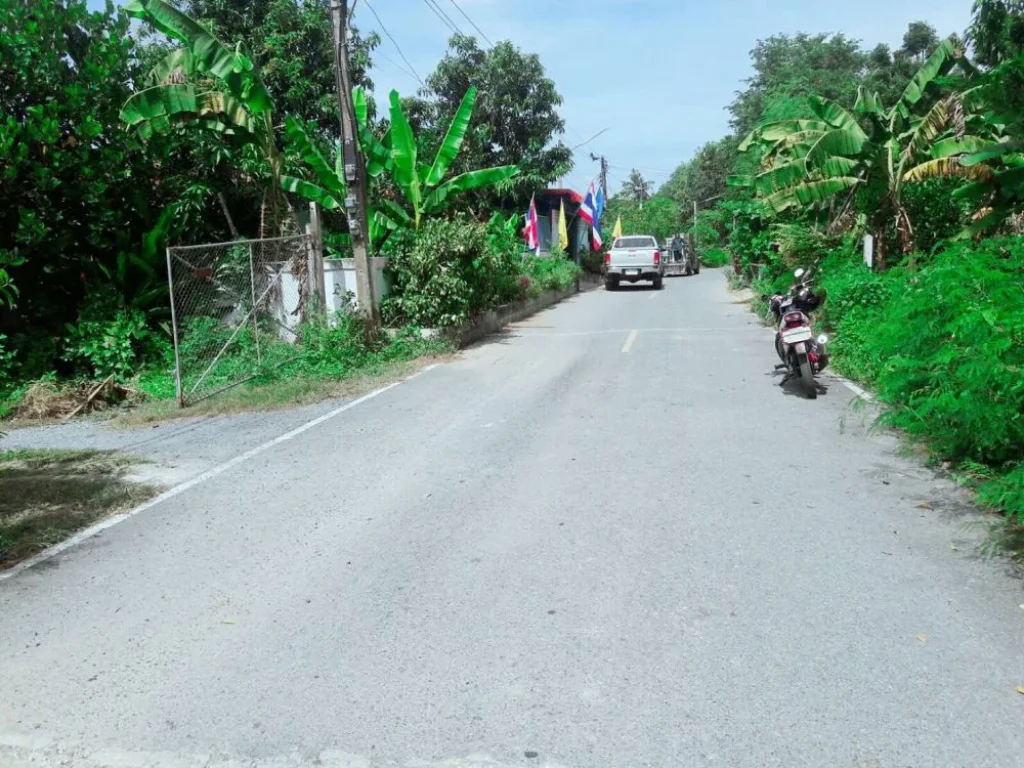 ขายที่ดิน 1ไร่ 3งาน 62 ตรว ตำบลพระงาม อำเภอพรมบุรี จังหวัดสิงห์บุรี