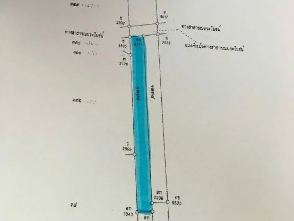 ที่ดิน 11 ไร่ 10 ตารางวา อลำลูกกา จปทุมธานี