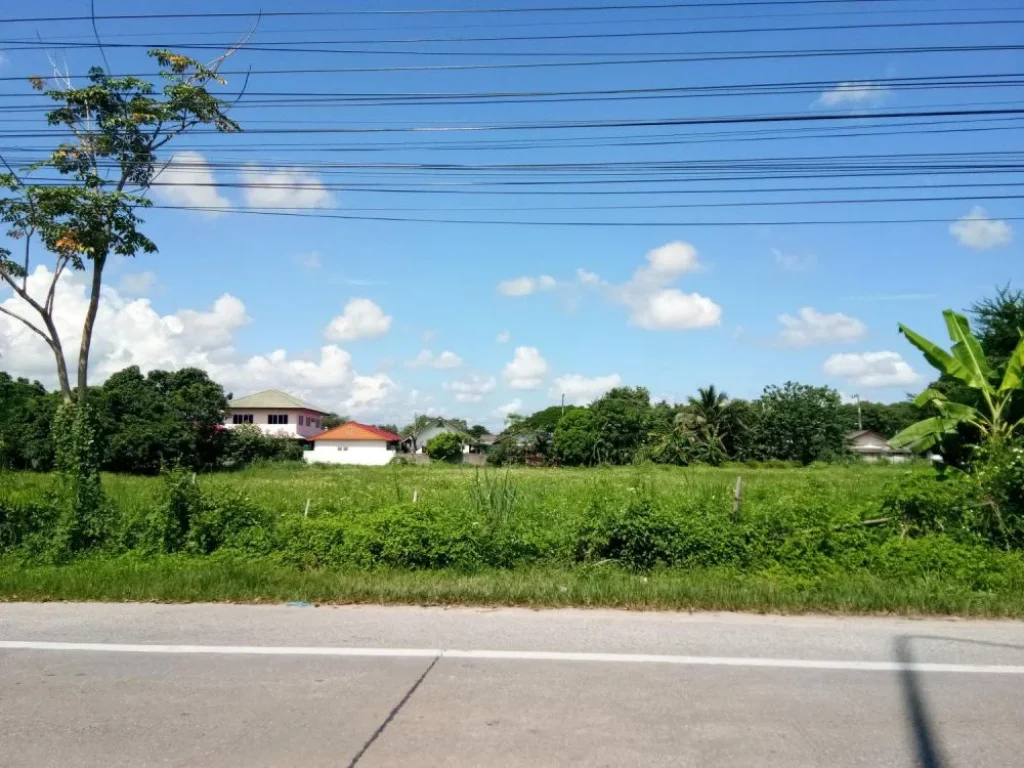 ขายที่ดินติดถนนใหญ่ ป่าตัน ราคาถูก