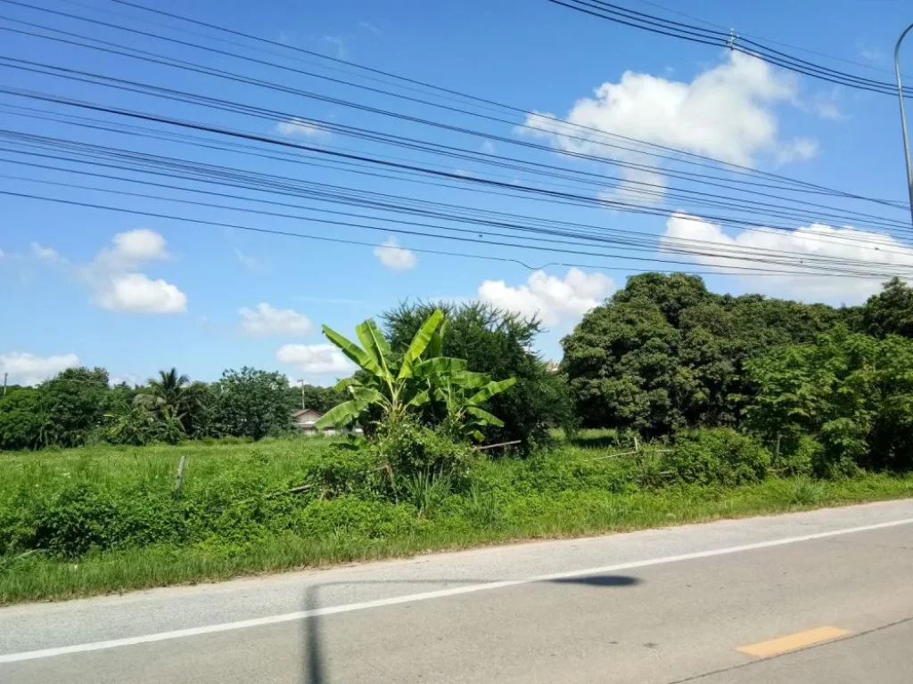 ขายที่ดินติดถนนใหญ่ ป่าตัน ราคาถูก