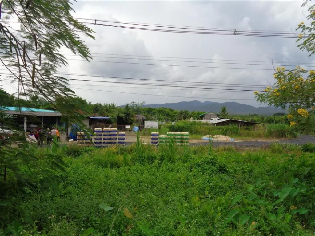 ขายที่ดินพร้อมบ้านและโรงงานแปรรูปเนื้อไก่และโรงฟักไข่ในเนื้อที่โฉนที่ดิน2แปลงมีเนื้อที่รวม4-0-93ไร่ติดทางหลวงสายเชียงใหม่-พร้าว1001หน้ากว้างประ