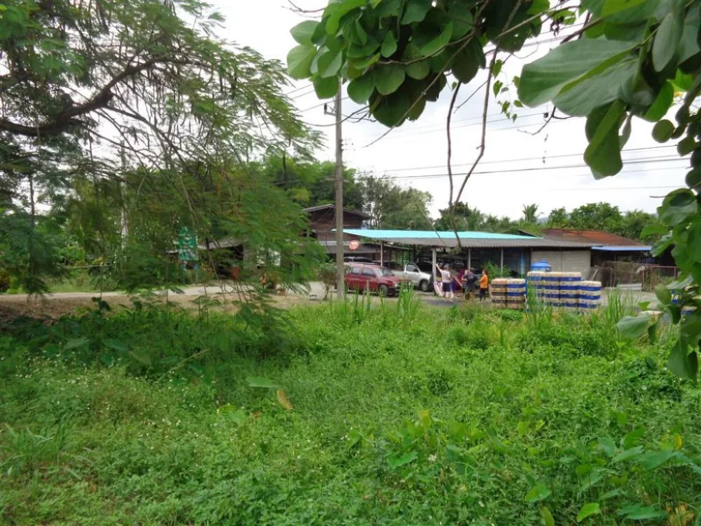 ขายที่ดินพร้อมบ้านและโรงงานแปรรูปเนื้อไก่และโรงฟักไข่ในเนื้อที่โฉนที่ดิน2แปลงมีเนื้อที่รวม4-0-93ไร่ติดทางหลวงสายเชียงใหม่-พร้าว1001หน้ากว้างประ