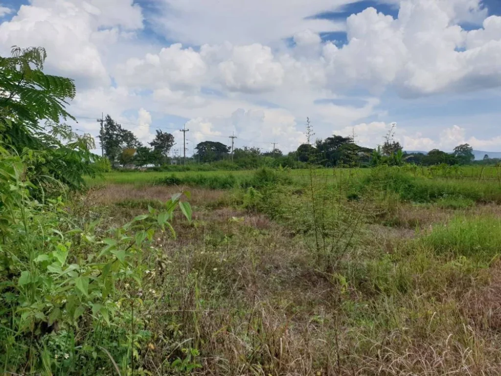 ขายที่ดินวิวสวย ทำเลดี ที่ดินติดถนนทั้งสามด้าน อยู่สี่แยกไฟแดงตรงข้ามทางเข้าตลาดสดและศูนย์ราชการ อำเภอแม่ใจ จังหวัดพะเยา เนื่อที่ 6  3  83 ไร่ ราค