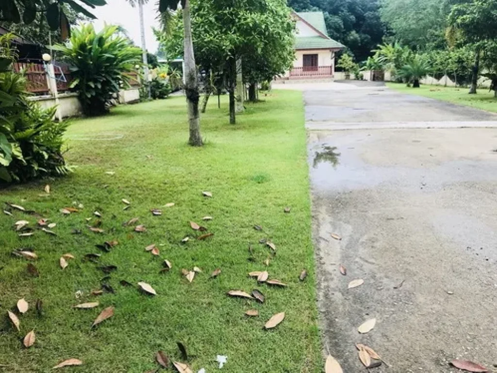 ที่สวนผลไม้พร้อมบ้านเดี่ยวติดถนนหลวง อเมือง จระยอง