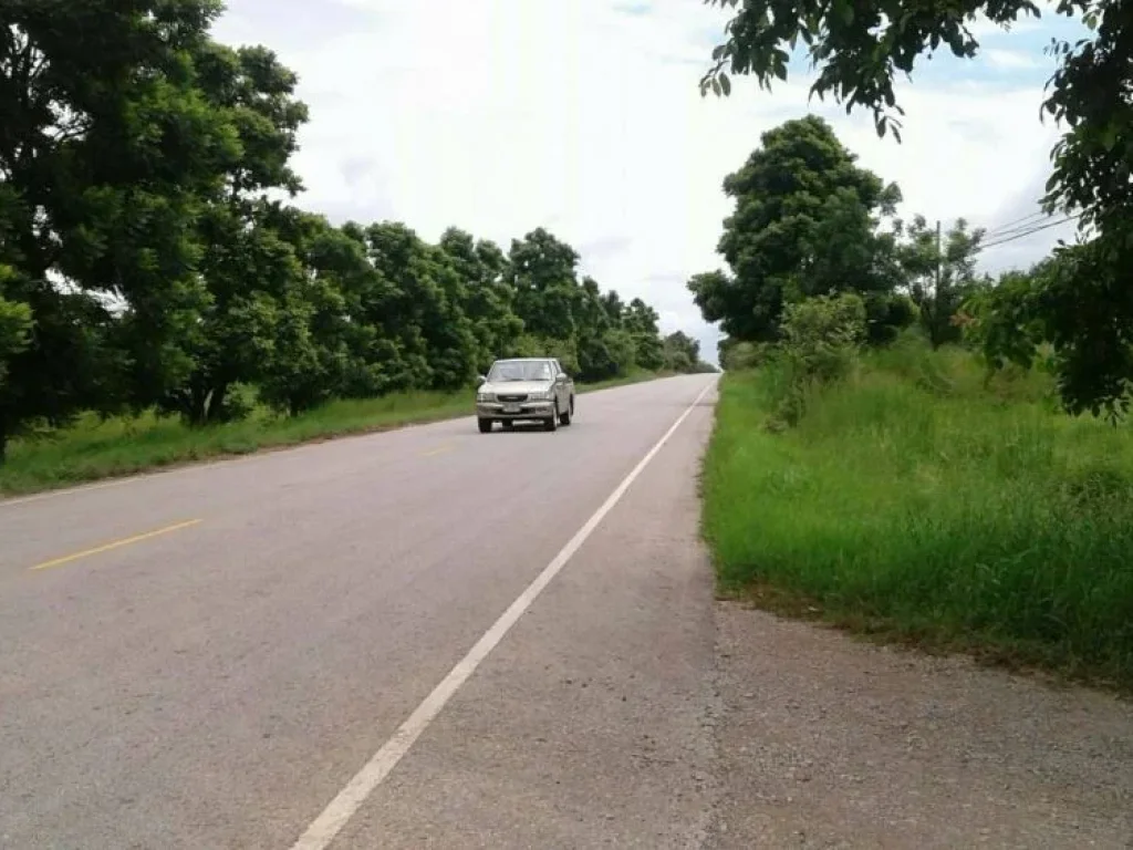 ขายที่ดิน 8 ไร่ ถนนสาย 2260บ้านกุดตาเพชร-ป่าซับลังกา ตลำสนธิ อลำสนธิ จลพบุรี