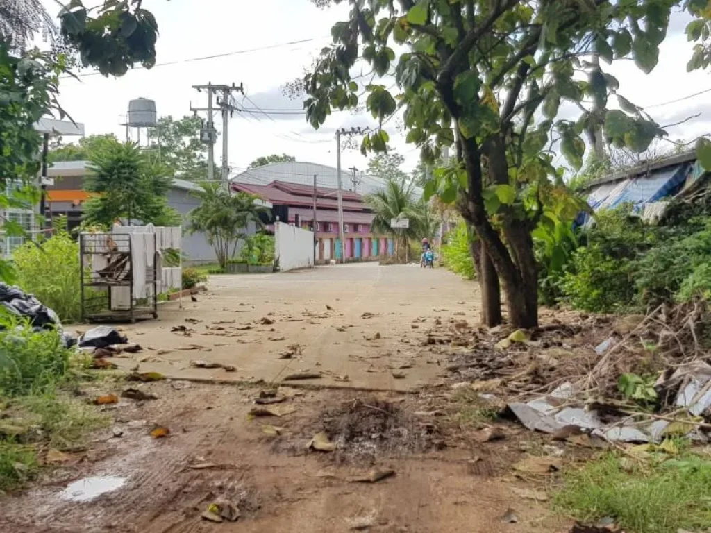 ขายที่ดินไกล้เซ้นทรัลเฟส พายับ