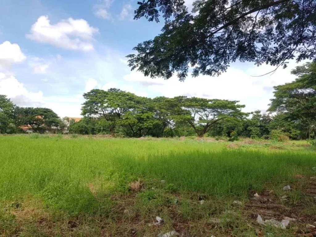 ขายที่ดินไกล้เซ้นทรัลเฟส พายับ