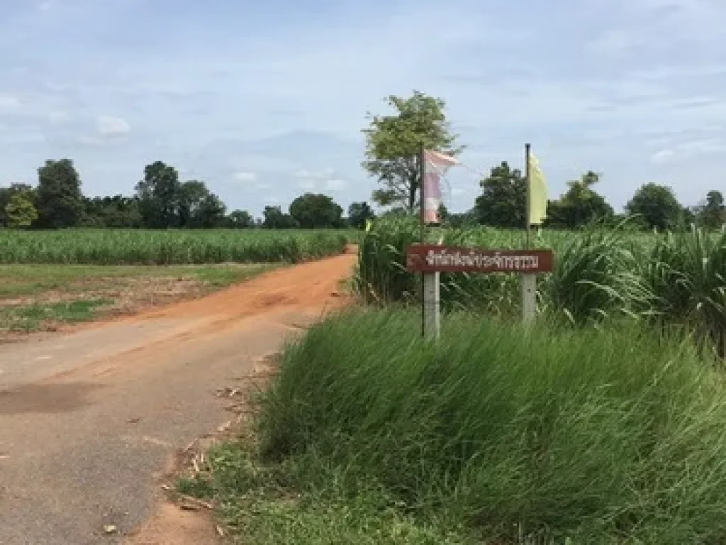 ขายที่ดินราคาถูก ติดถนนสาธารณะ พืชเกษตรปลูกอ้อยและมัน เนินขาม จชัยนาท