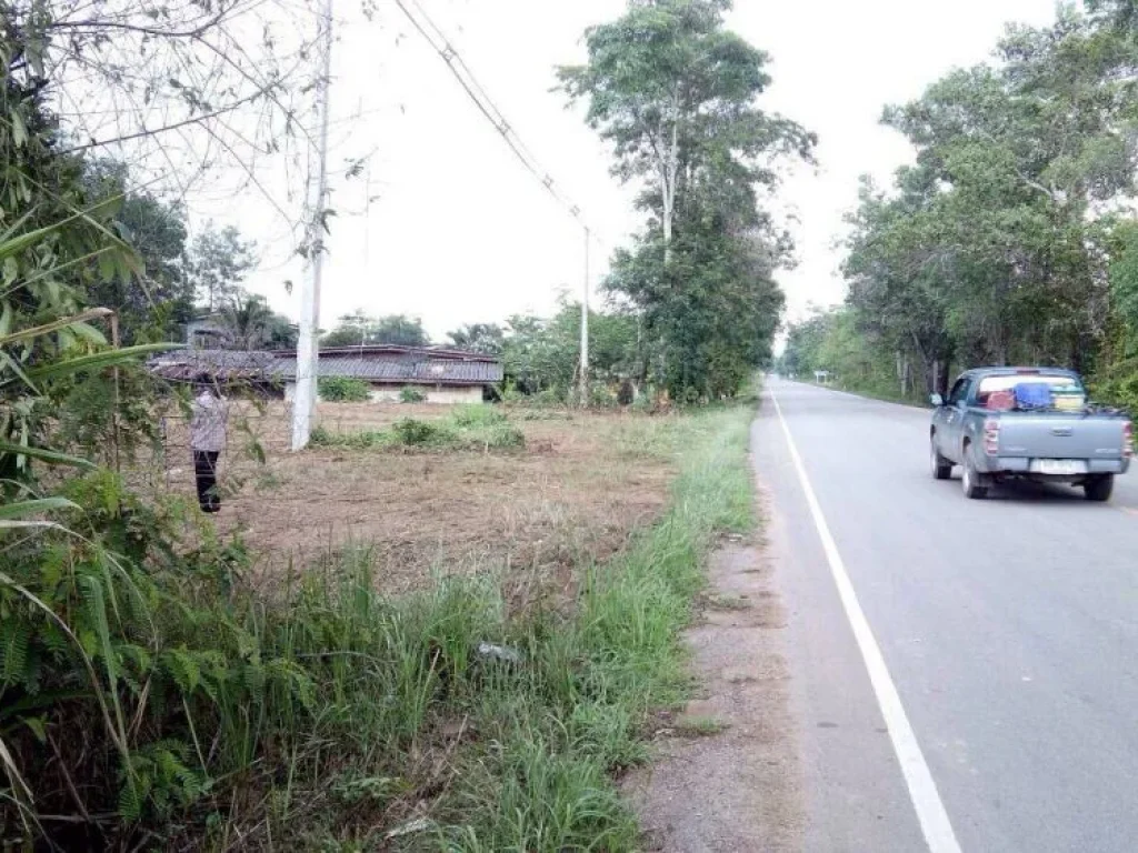 Land in Khao Kitcheng district Chantaburi II ที่ดินในอำเภอเขาคิชกูฎ