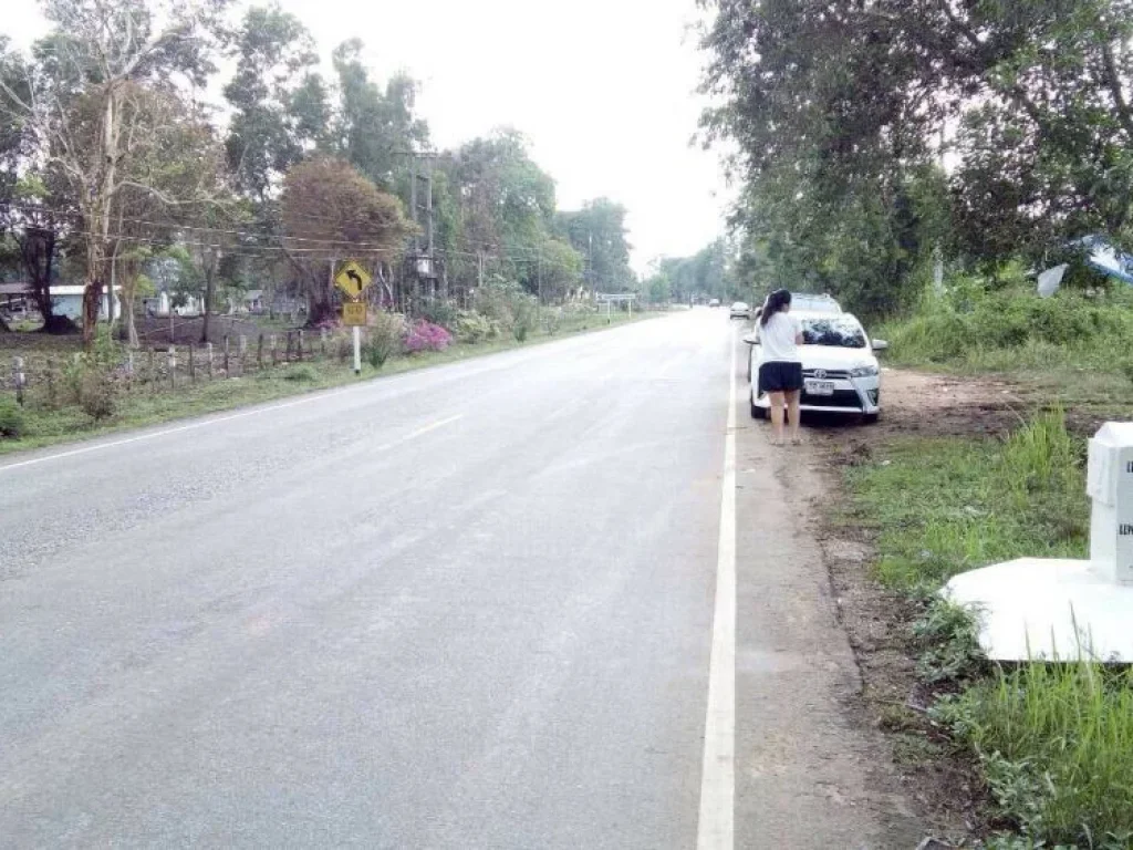 Land in Khao Kitcheng district Chantaburi II ที่ดินในอำเภอเขาคิชกูฎ